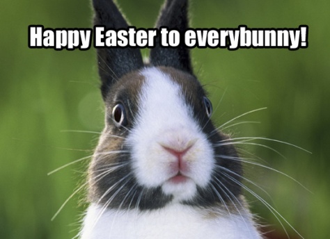 funny-easter-bunny-quotes