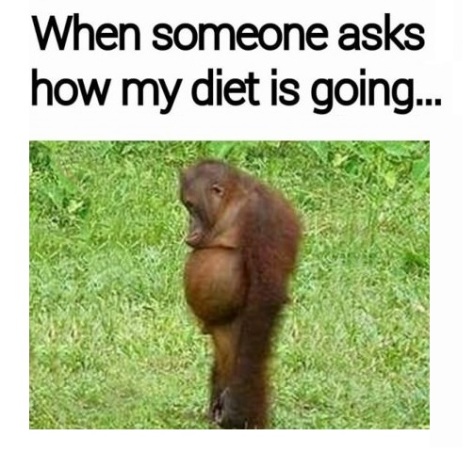 funny-diet-monkey-belly