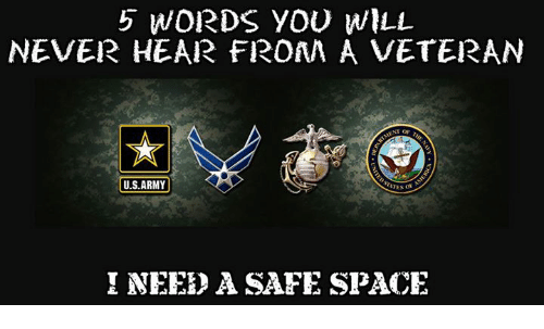 5-words-you-will-never-hear-from-a-veteran-u-s-7875410